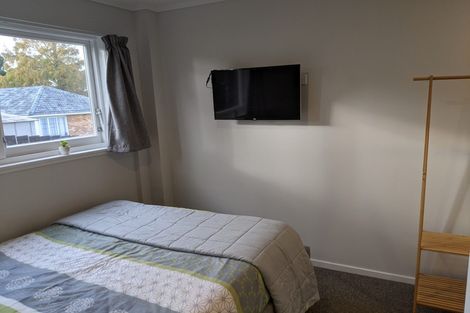 Photo of property in 4a The Drive, Brookfield, Tauranga, 3110