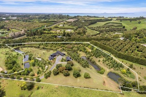 Photo of property in 94b Kauri Point Road, Tahawai, 3170