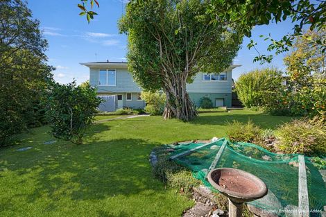 Photo of property in 19 Franklin Terrace, Havelock North, 4130
