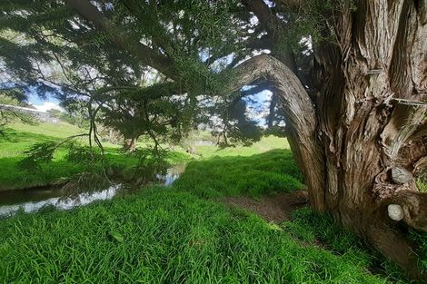 Photo of property in 171 Arcadia Road, Paparoa, 0571