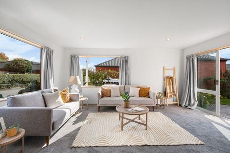 Photo of property in 19 Mcleish Lane, Spreydon, Christchurch, 8024