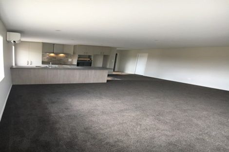 Photo of property in 59 Craig Thompson Drive, Lincoln, 7608