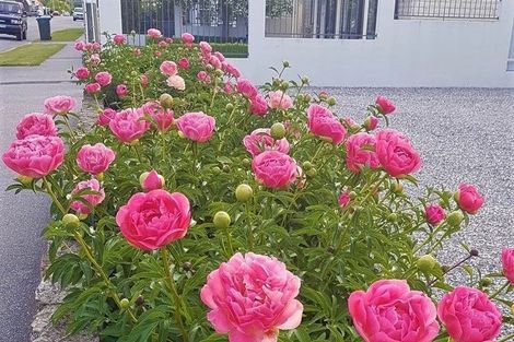 Photo of property in 12 Bantry Street, Alexandra, 9320