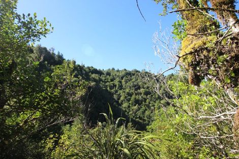 Photo of property in 552 Cuff Road, Erua, Owhango, 3990