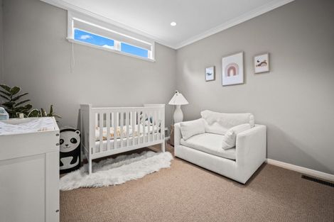 Photo of property in 50 Premier Avenue, Point Chevalier, Auckland, 1022
