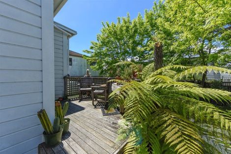Photo of property in 43 Collingwood Street, Nelson, 7010