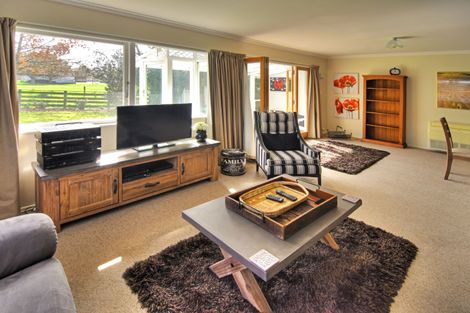 Photo of property in 43 Oak Street, Masterton, 5810