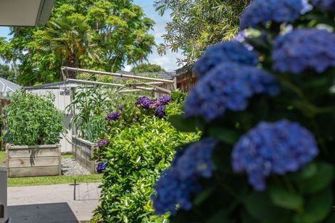 Photo of property in 8 Burr Street, Cambridge, 3434