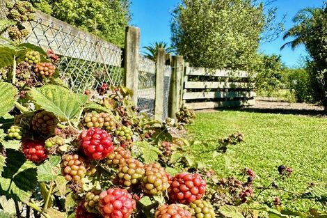 Photo of property in 3 Granny Tarr Street, Makaraka, Gisborne, 4010