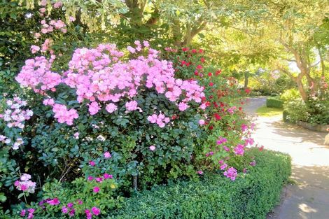 Photo of property in 31 Studholme Street, Temuka, 7920