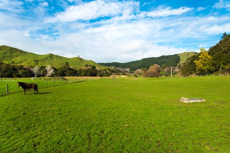 Photo of property in 673g Riverside Road, Matokitoki, Gisborne, 4071