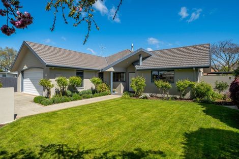 Photo of property in 51 Murphys Road, Springlands, Blenheim, 7201