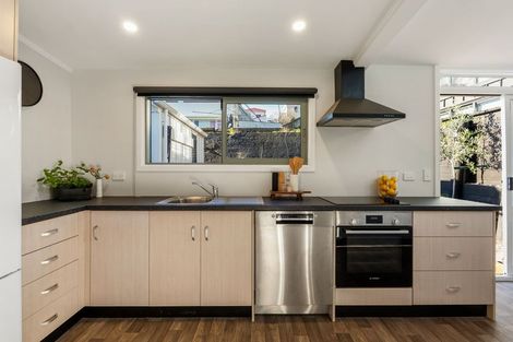 Photo of property in 97 Elizabeth Street, Mount Victoria, Wellington, 6011