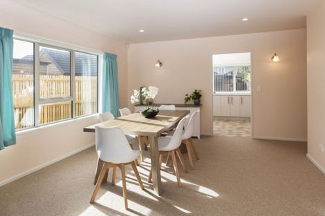 Photo of property in 13 Plynlimon Road, Fendalton, Christchurch, 8052