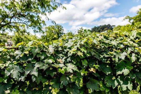 Photo of property in 1 Owen Road, Kawerau, 3127