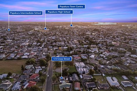 Photo of property in 1/3 Cross Street, Papakura, 2110