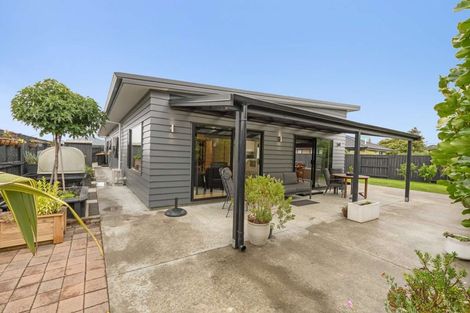 Photo of property in 302 Cambridge Avenue, Ashhurst, 4810