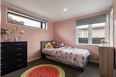 Photo of property in 17 Salisbury Avenue, Terrace End, Palmerston North, 4410