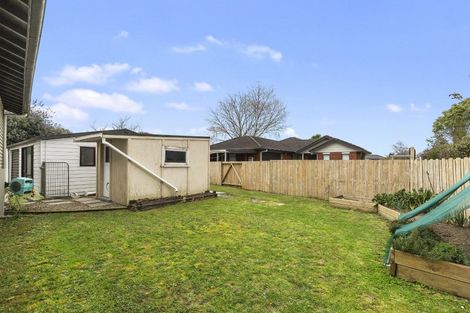 Photo of property in 53 Snell Street, Morrinsville, 3300