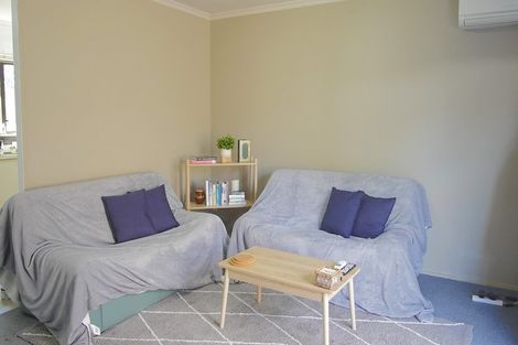 Photo of property in 556a Ferguson Street, Terrace End, Palmerston North, 4410
