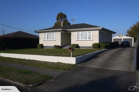 Photo of property in 228 North Street, Te Awamutu, 3800
