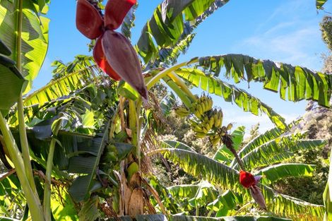 Photo of property in 45 Mahurangi East Road, Snells Beach, Warkworth, 0982