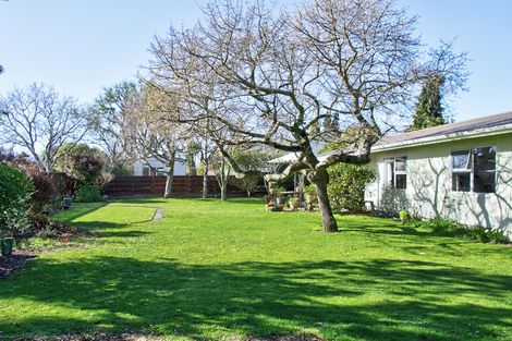 Photo of property in 49b Cornwall Street, Masterton, 5810