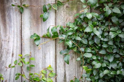 Photo of property in 9 Miers Glade, Rototuna North, Hamilton, 3210