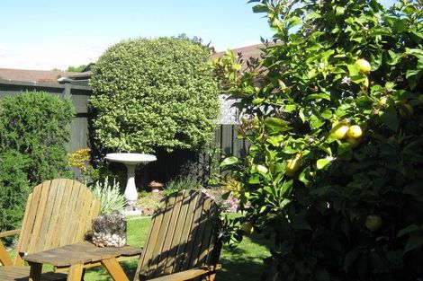 Photo of property in 10a Elizabeth Street, Palmerston North, 4410