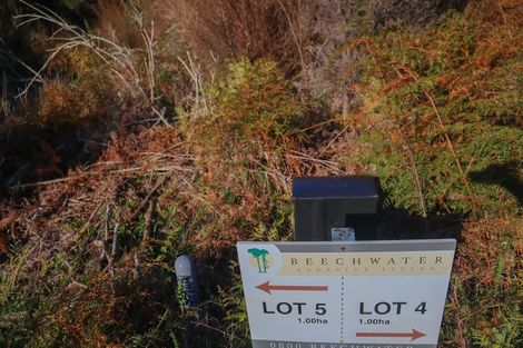 Photo of property in 38 Beechwater Drive, Arnold Valley, 7872