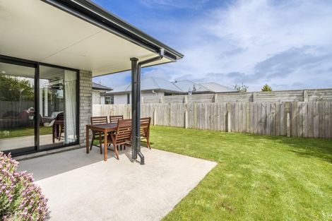 Photo of property in 36 Antrim Street, Windsor, Invercargill, 9810