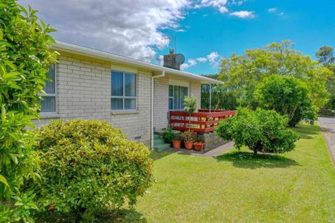 Photo of property in 161 College Road, Edgecumbe, 3120