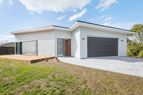 Photo of property in 39 Orchard Road, Waihi, 3610