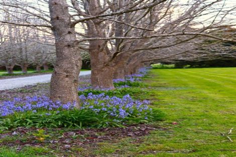 Photo of property in 742a Tara Road, Mangawhai, Kaiwaka, 0573