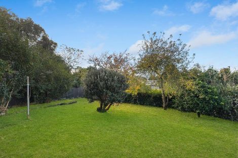 Photo of property in 48 Caulton Street, Saint Johns, Auckland, 1072