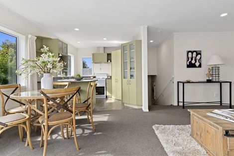 Photo of property in 3b Russell Place, Brookfield, Tauranga, 3110