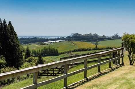 Photo of property in 220 Ross Road, Whakamarama, Tauranga, 3179