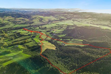 Photo of property in 91 Sharyn Nelson Drive, Haruru, 0204