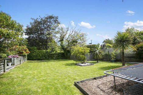 Photo of property in 23 Elliot Street, Andersons Bay, Dunedin, 9013