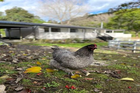 Photo of property in 42 Corbett Drive, Minden, Tauranga, 3176