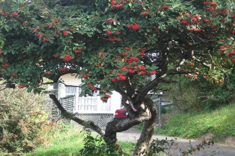 Photo of property in 8 Chester Road, Tawa, Wellington, 5028