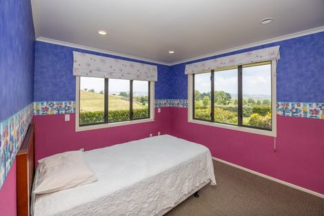 Photo of property in 674 Mangaorongo Road, Otorohanga, 3972