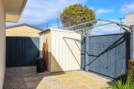 Photo of property in 22a Elzy Street, Blenheim, 7201