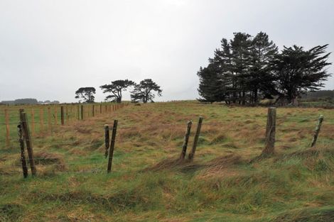 Photo of property in 43 Totara Park Road, Foxton, 4891