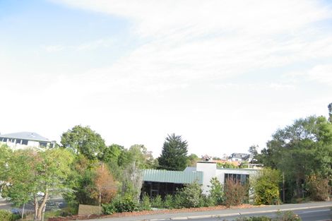 Photo of property in 379 Stuart Street, Roslyn, Dunedin, 9010