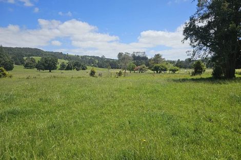 Photo of property in 43 Hongi Street, Kaikohe, 0405