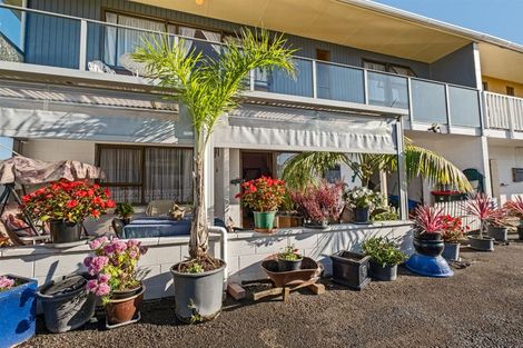 Photo of property in 1/6 Princess Street, Waitara, 4320