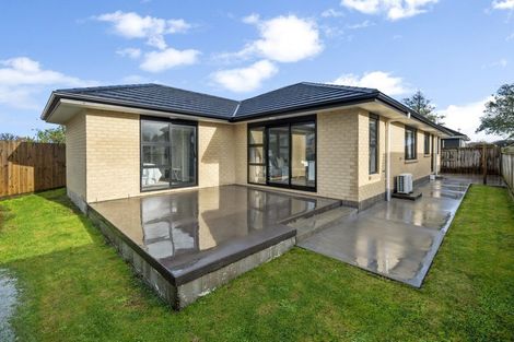 Photo of property in 53 Seddon Street, Takaro, Palmerston North, 4412