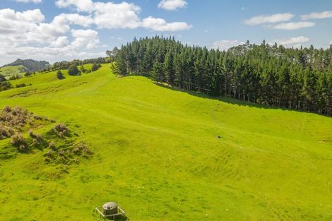 Photo of property in 52 Tuiglen Place, Glenbervie, Whangarei, 0173