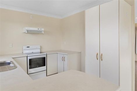 Photo of property in 16b Bristol Avenue, Brookfield, Tauranga, 3110